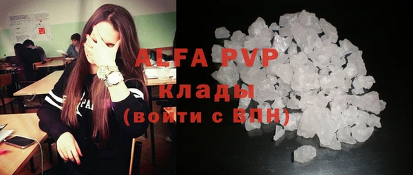 ECSTASY Медвежьегорск