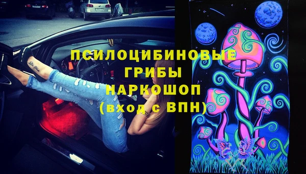 стафф Медногорск