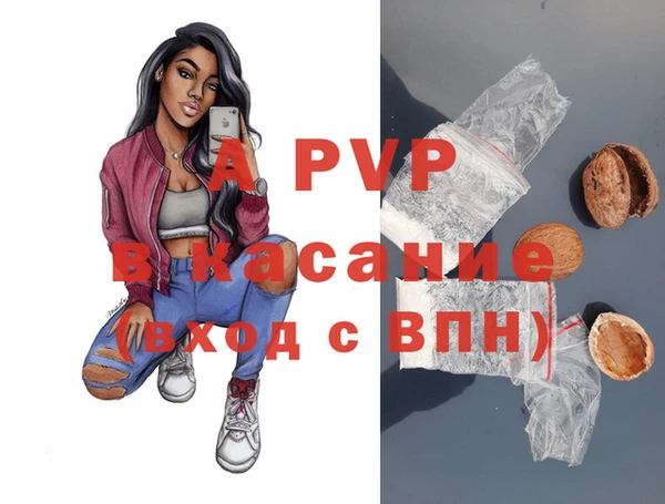 ECSTASY Медвежьегорск